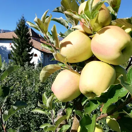 Farm stay Agritur Ciastel *